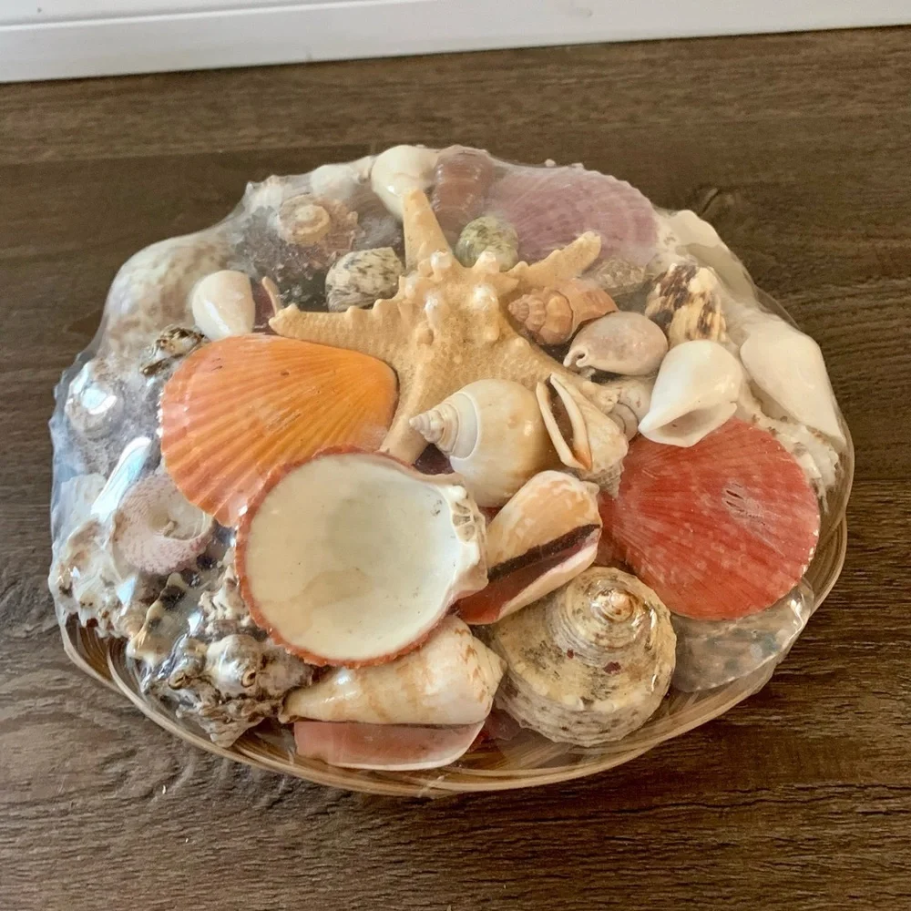 Beach Basket assorted sea Shells
